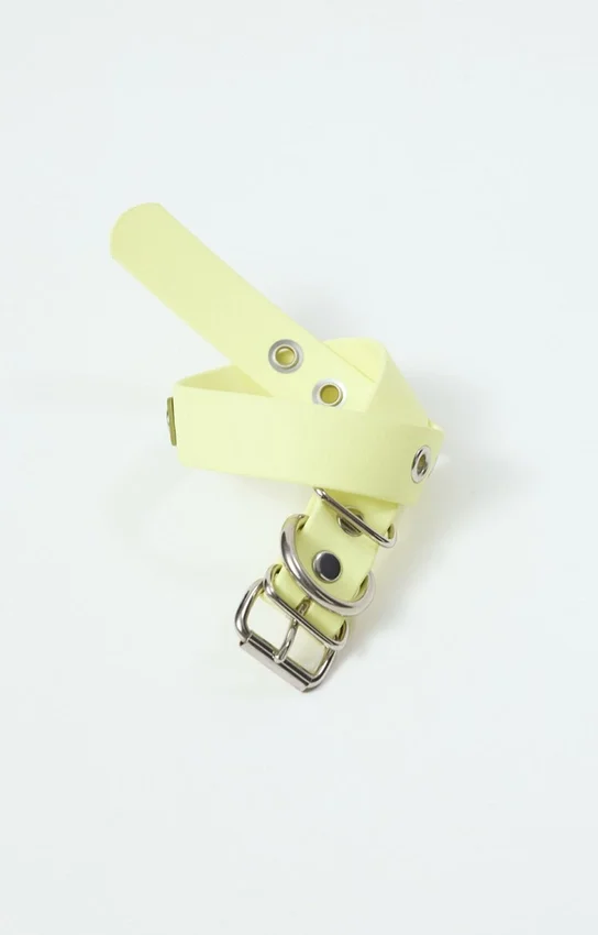 AMV DOGS dog collar Reference: COLLIERCHIENH26
