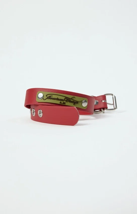 AMV DOGS dog collar Reference: COLLIERCHIENH26