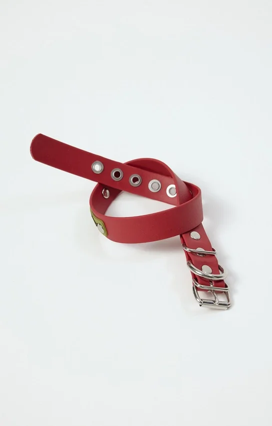 AMV DOGS dog collar Reference: COLLIERCHIENH26