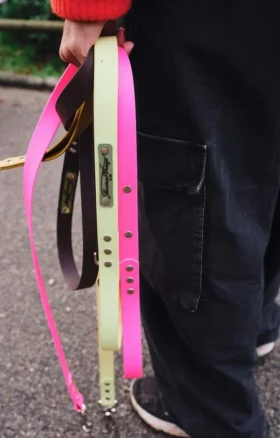 AMV DOGS dog leash Reference: LAISSECHIENH26