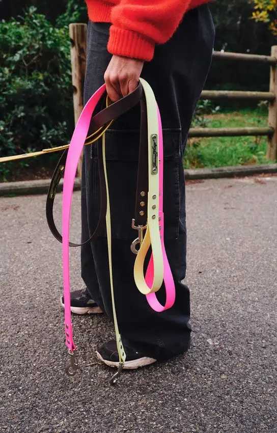 AMV DOGS dog leash Reference: LAISSECHIENH26