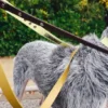 AMV DOGS dog leash Reference: LAISSECHIENH26