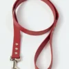 AMV DOGS dog leash Reference: LAISSECHIENH26