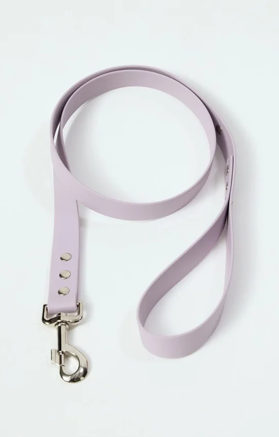 AMV DOGS dog leash Reference: LAISSECHIENH26
