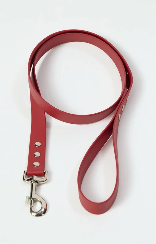 AMV DOGS dog leash Reference: LAISSECHIENH26