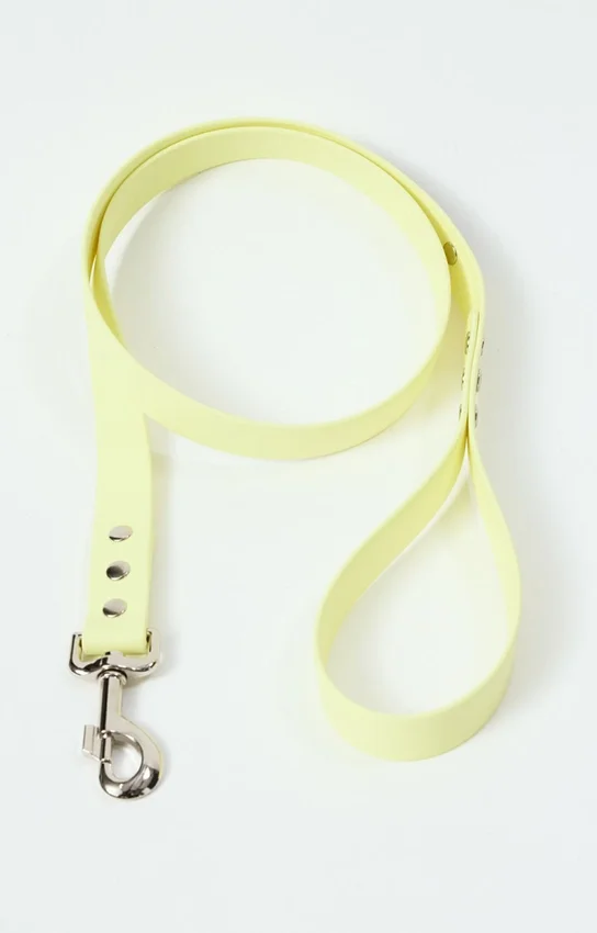 AMV DOGS dog leash Reference: LAISSECHIENH26
