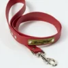 AMV DOGS dog leash Reference: LAISSECHIENH26