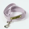AMV DOGS dog leash Reference: LAISSECHIENH26