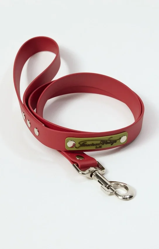 AMV DOGS dog leash Reference: LAISSECHIENH26