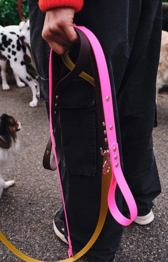 AMV DOGS dog leash Reference: LAISSECHIENH26