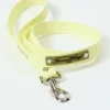 AMV DOGS dog leash Reference: LAISSECHIENH26