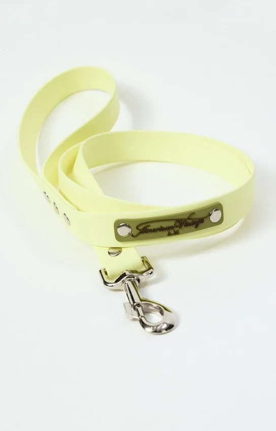 AMV DOGS dog leash Reference: LAISSECHIENH26