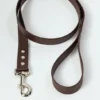 AMV DOGS dog leash Reference: LAISSECHIENH26