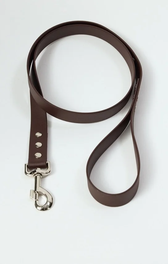 AMV DOGS dog leash Reference: LAISSECHIENH26