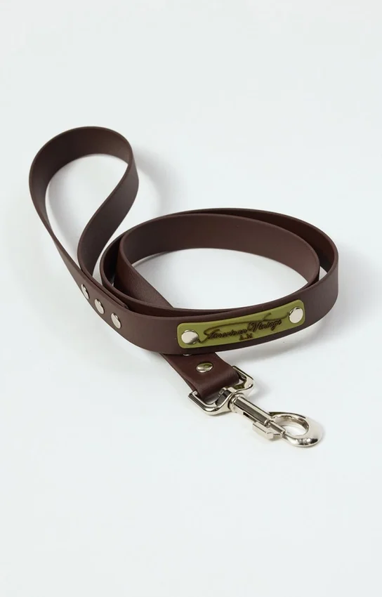 AMV DOGS dog leash Reference: LAISSECHIENH26