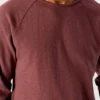 Men's t-shirt Sonoma Reference: MSON24GH26