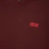 Unisex Izubird Sweatshirt “AMV X Rollercoaster” Reference: IZU03DMKTE26