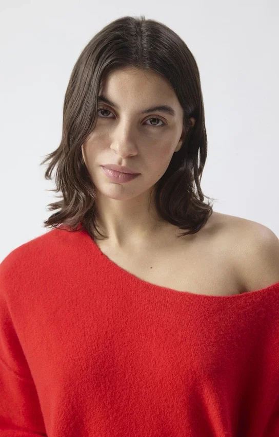 Women's jumper Damsville Reference: DAM225H26